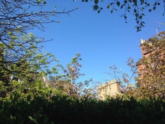 The Cosy Courtyard Apartment Edinburgh Bagian luar foto